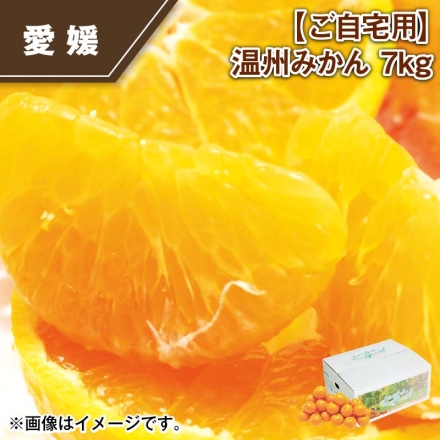 ご自宅用 温州みかん 7ｋｇ
