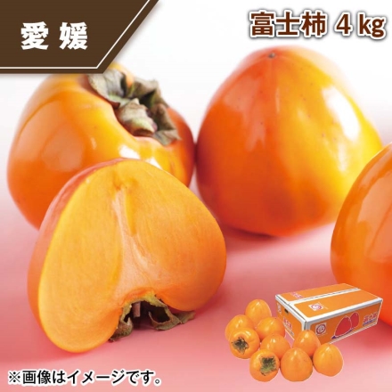 富士柿 4ｋｇ