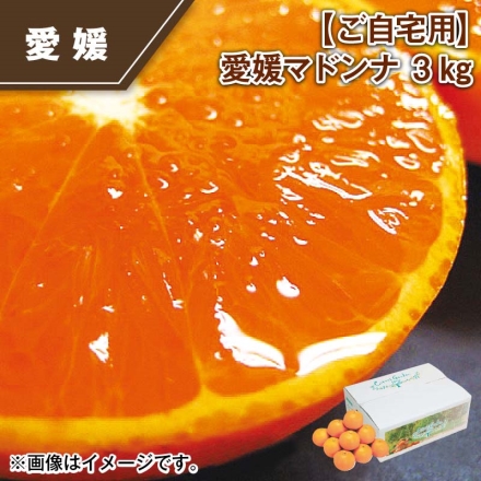 ご自宅用 愛媛マドンナ 3ｋｇ
