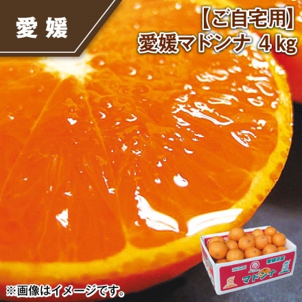 ご自宅用 愛媛マドンナ 4ｋｇ