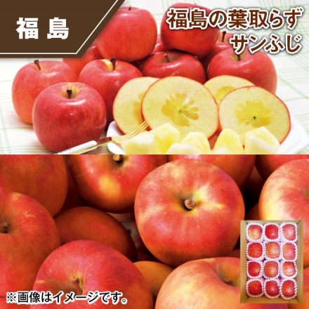福島の葉取らずサンふじ 3kg(9～12個)