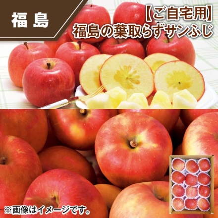 ご自宅用 福島の葉取らずサンふじ 3kg(9～13個)