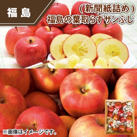 わけあり（新聞紙詰め）福島の葉取らずサンふじ 10kg