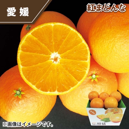 紅まどんな 1.4kg（4～8個）