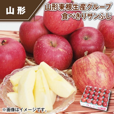 山形東根生産グループ 食べきりサンふじ 5kg（秀又は丸秀 ：18～24個）