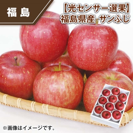 光センサー選果 福島県産 サンふじ 3kg（9～11個）