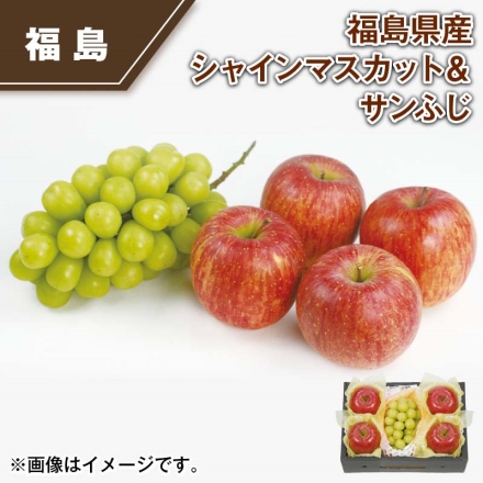 福島県産 シャインマスカット＆サンふじ シャインマスカット550g（1房）、サンふじ4個