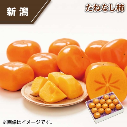 たねなし柿 2.5kg(12～15個)