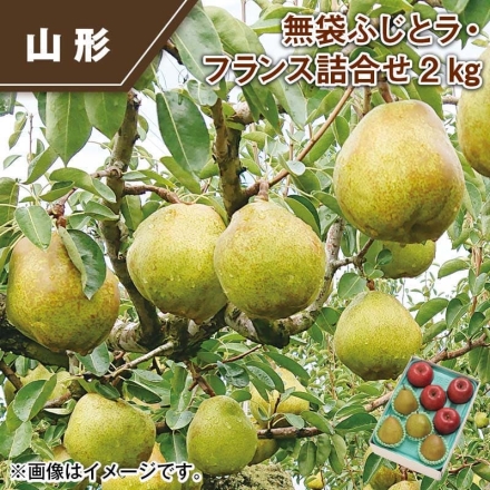 無袋ふじとラ・フランス詰合せ2ｋｇ