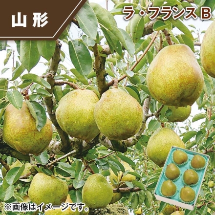 ラ・フランスＢ 2kg（4L：6個又は5L：5個）