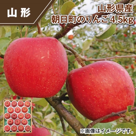 山形県産 朝日町のりんご4.5ｋｇ