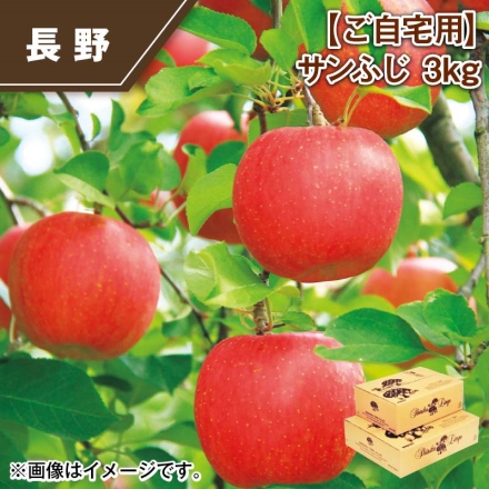 ご自宅用 サンふじ3ｋｇ