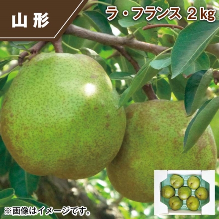 ラ・フランス 2ｋｇ