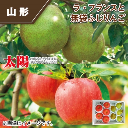 ラ・フランスと無袋ふじりんご ラ フランス・ふじりんご 各3kg（4～6個）