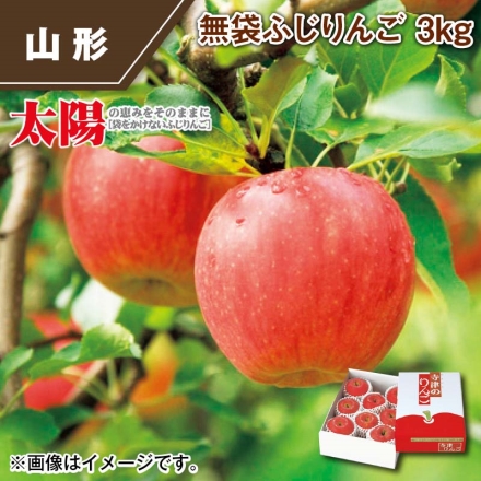 無袋ふじりんご 3ｋｇ