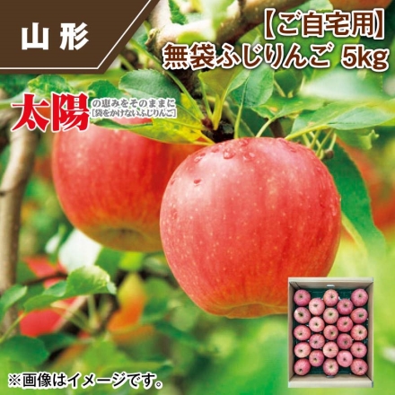 ご自宅用 無袋ふじりんご 5ｋｇ