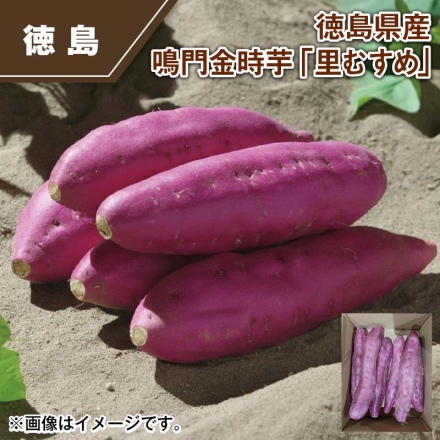徳島県産 鳴門金時芋「 里むすめ 」 2kg（6～12本）