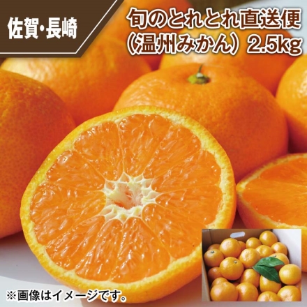 旬のとれとれ直送便（温州みかん） 2.5ｋｇ