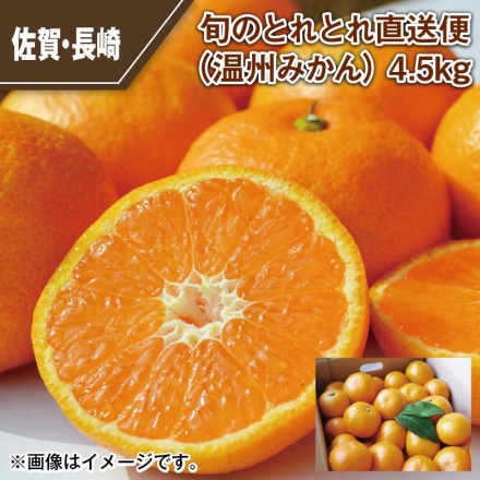 旬のとれとれ直送便（温州みかん） 4.5ｋｇ