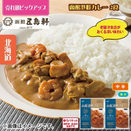 函館港町カレー 2食