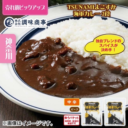 ＴＳＵＮＡＭＩ よこすか海軍カレー 2食