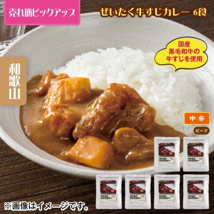 ぜいたく牛すじカレー 6食