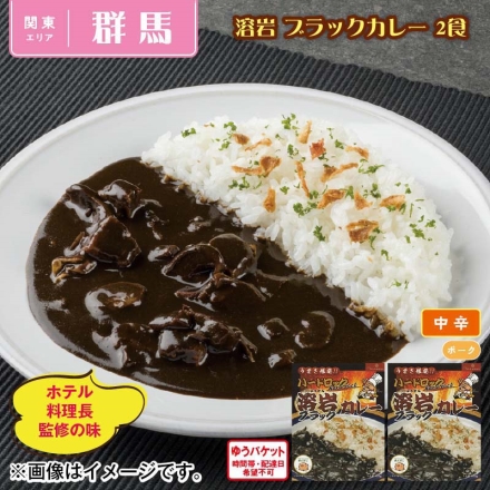 溶岩 ブラックカレー 2食
