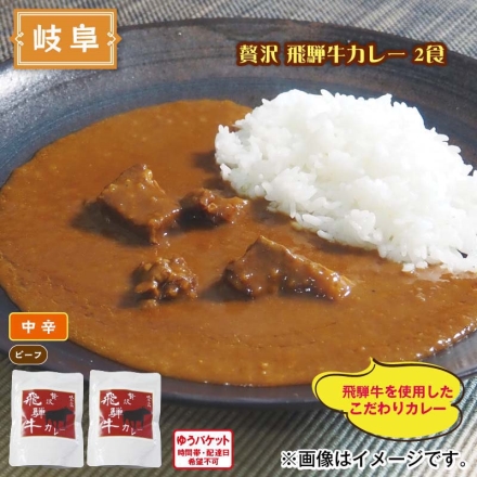 贅沢 飛騨牛カレー 2食