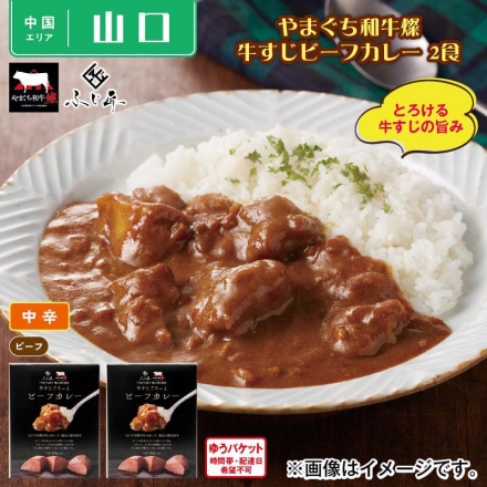 やまぐち和牛燦 牛すじビーフカレー 2食