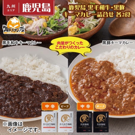 鹿児島 黒毛和牛・黒豚キーマカレー詰合せ 各2食