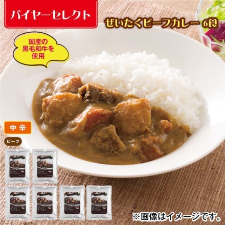 ぜいたくビーフカレー 6食