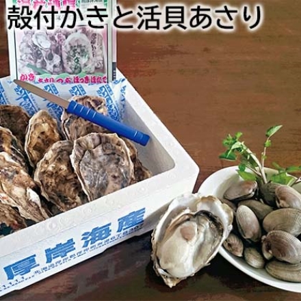 殻付かきと活貝あさり 生食用殻付かき90g×10、活貝あさり500g、調理説明書・カキムキナイフ付