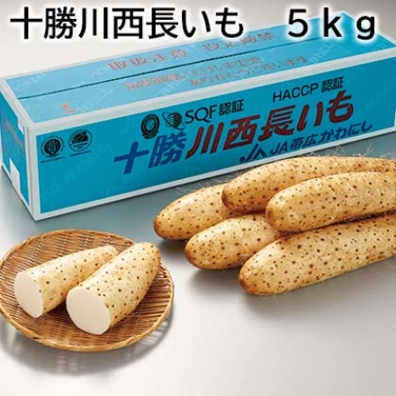 十勝川西長いも 5ｋｇ