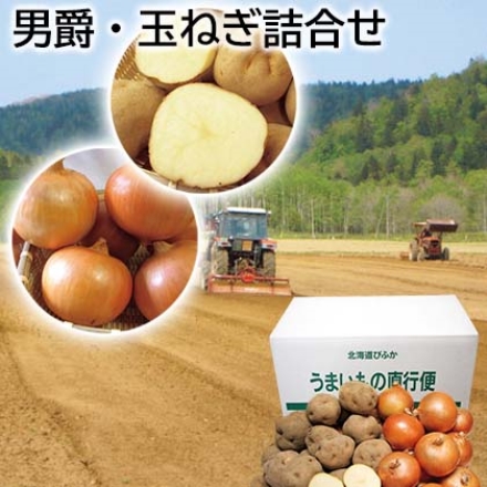 男爵・玉ねぎ詰合せ 男爵いも・玉ねぎ 各3kg