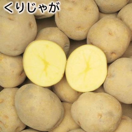 くりじゃが キタアカリ6kg