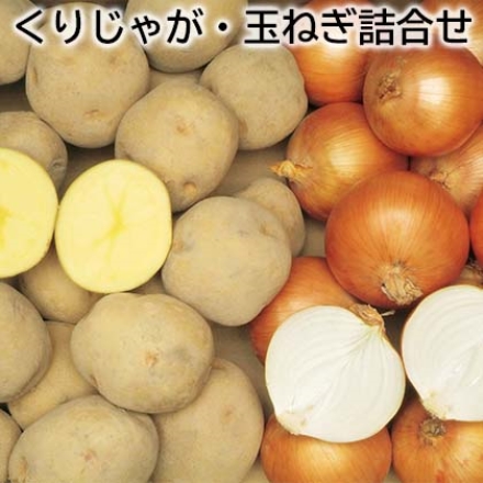 くりじゃが・玉ねぎ詰合せ キタアカリ・玉ねぎ 各3kg