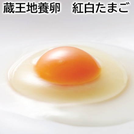 蔵王地養卵 紅白たまご 赤玉（生卵）・白玉（生卵） 各25個
