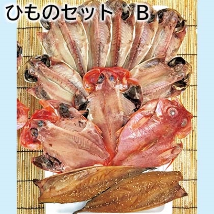 ひものセット Ｂ 真あじ7枚、金目鯛3枚、マサバ醤油干半身2枚