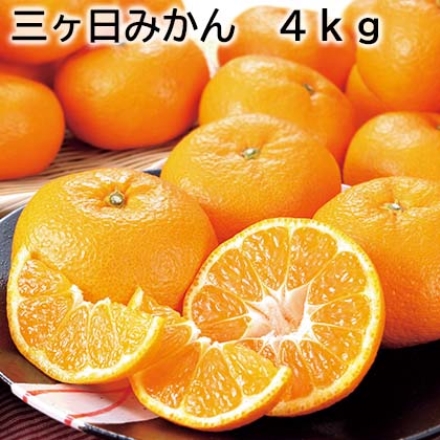 三ヶ日みかん 4ｋｇ