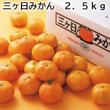 三ヶ日みかん 2.5ｋｇ