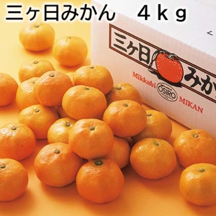 三ヶ日みかん 4ｋｇ