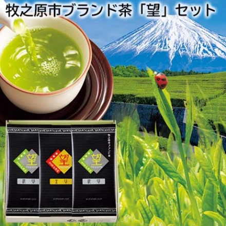 牧之原市ブランド茶「 望 」セット 望金印100g、望銀印100g×2