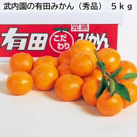 武内園の有田みかん（秀品） 5ｋｇ