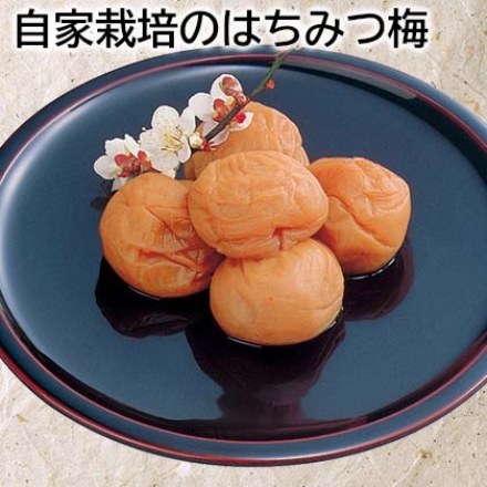 自家栽培のはちみつ梅 500g（約塩分4％）