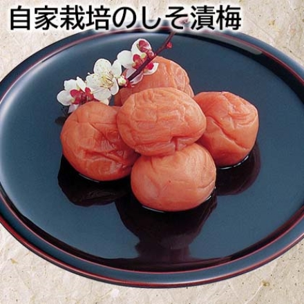 自家栽培のしそ漬梅 500g（約塩分6％）