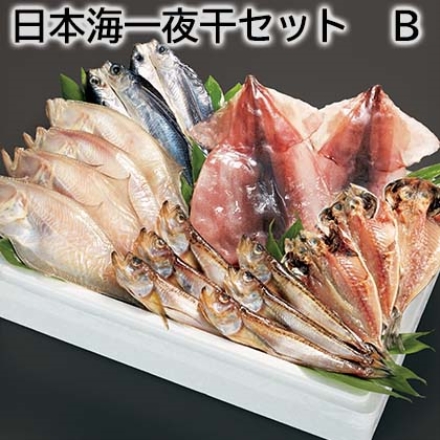 日本海一夜干セット Ｂ 1.1kg（干ハタハタ6～8尾、アジの開き3枚、干カレイ4～6枚、飛魚の開き・イカの一夜干し 各2枚）