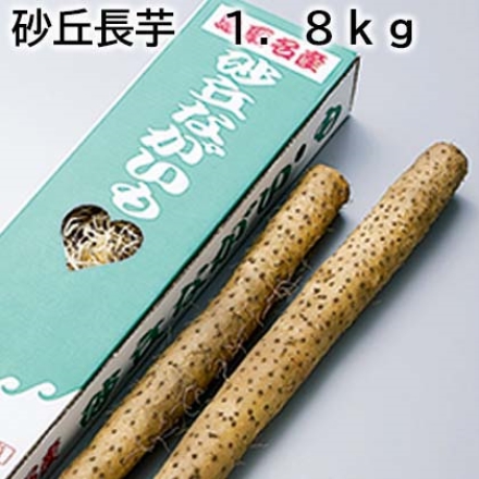 砂丘長芋 1.8ｋｇ