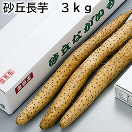 砂丘長芋 3ｋｇ