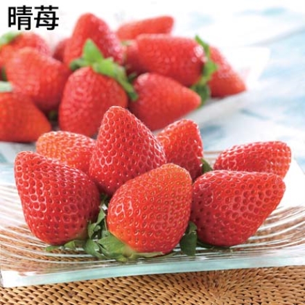 晴苺 450g（8～15個）