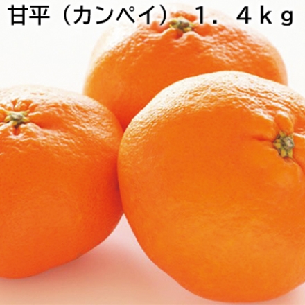 甘平（カンペイ） 1.4ｋｇ